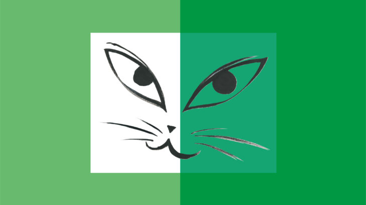 Cat’s Talk – in green