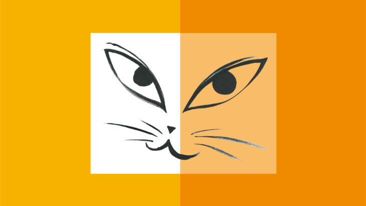 Cat’s Talk – in orange