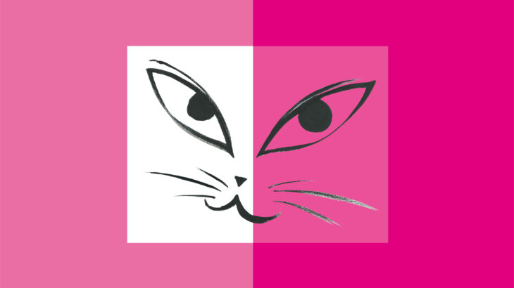 Cat’s Talk – in pink
