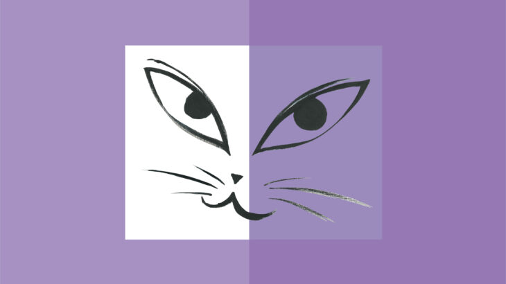 Cat’s Talk – in violet