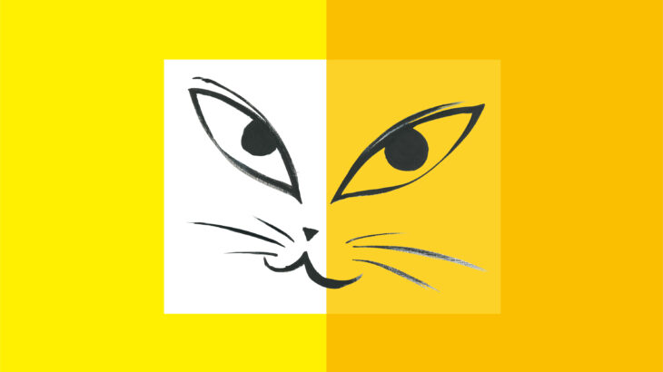Cat’s Talk – in yellow