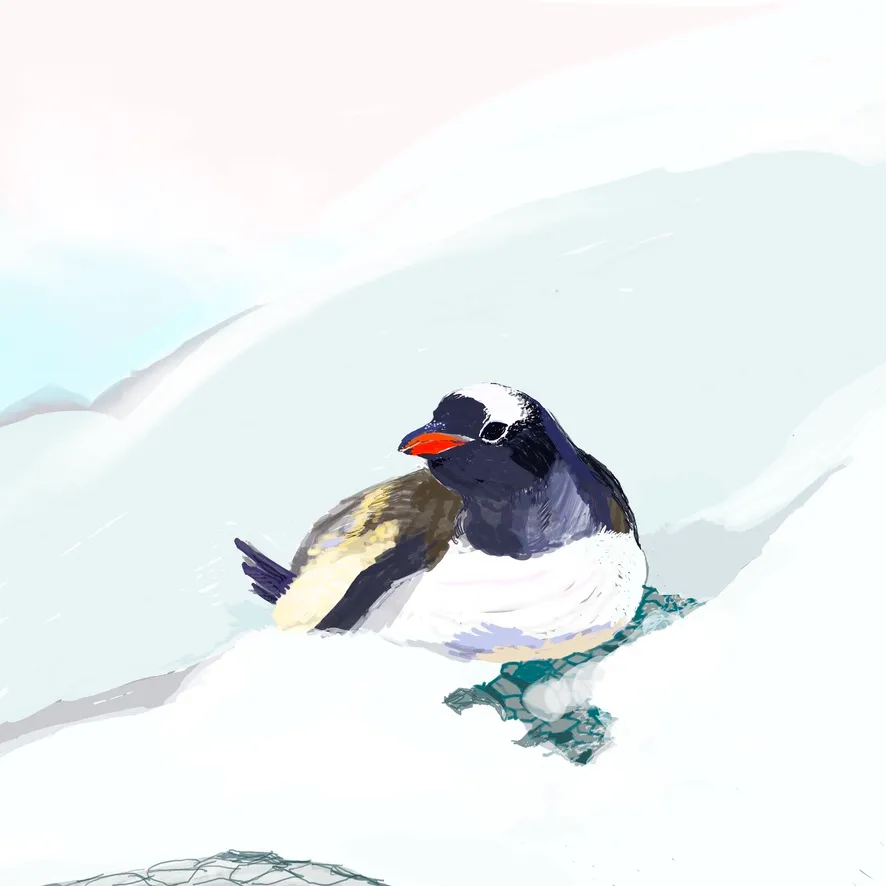 Mother penguin