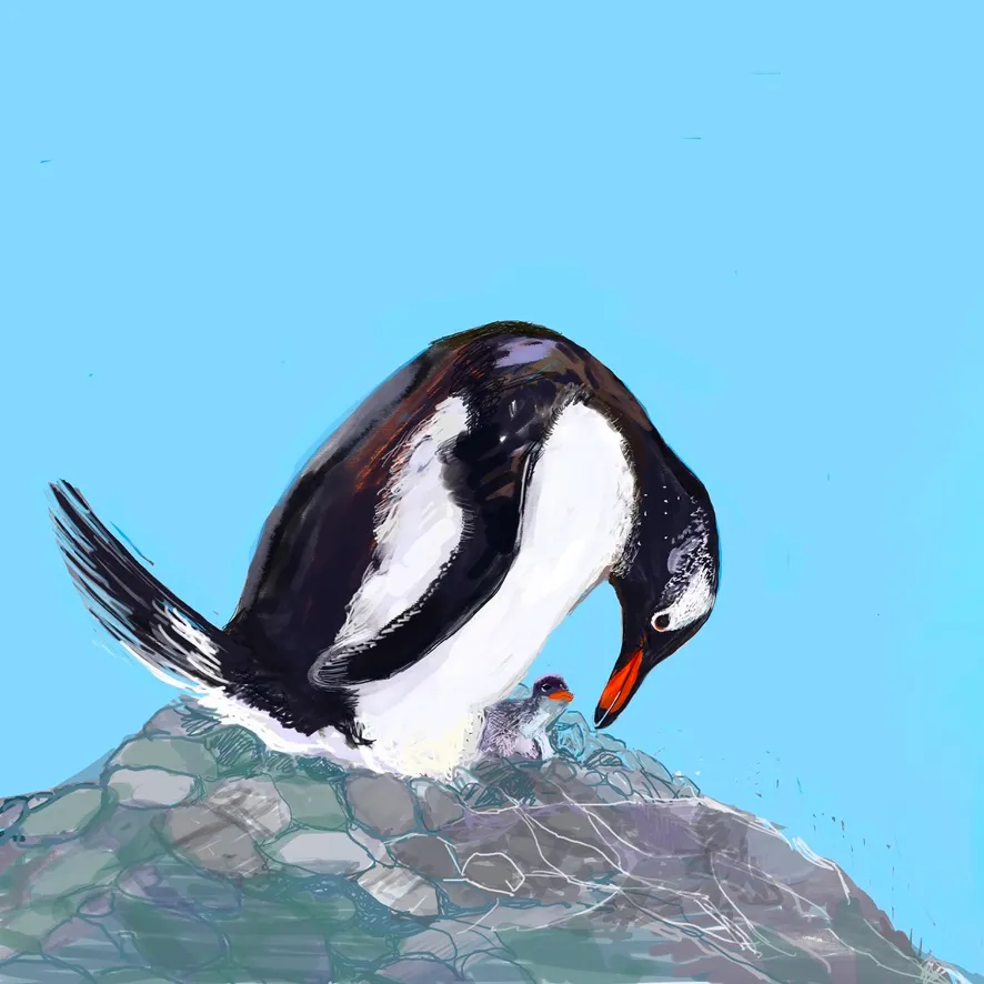 Penguin baby