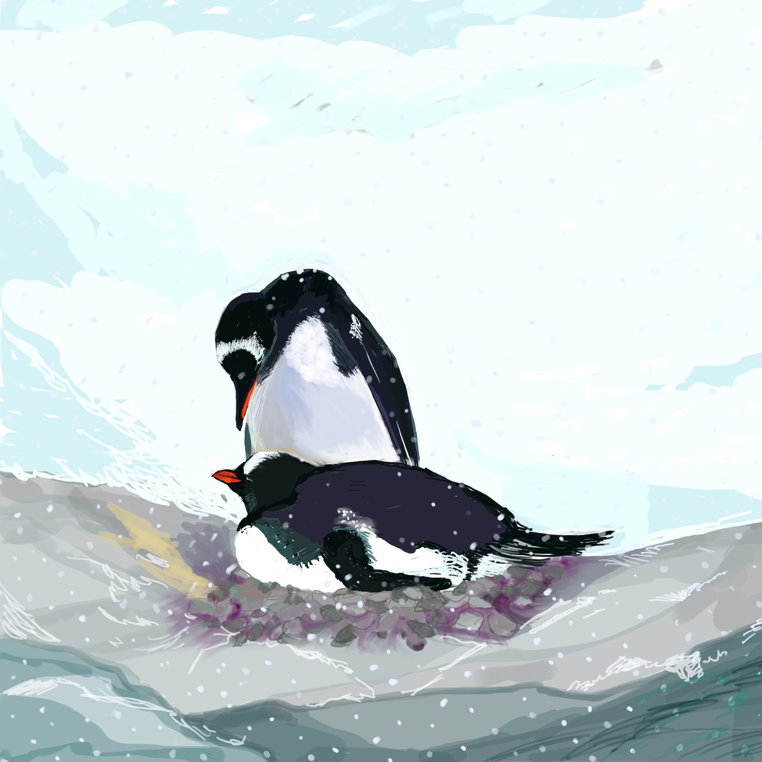 Gentoo Couple