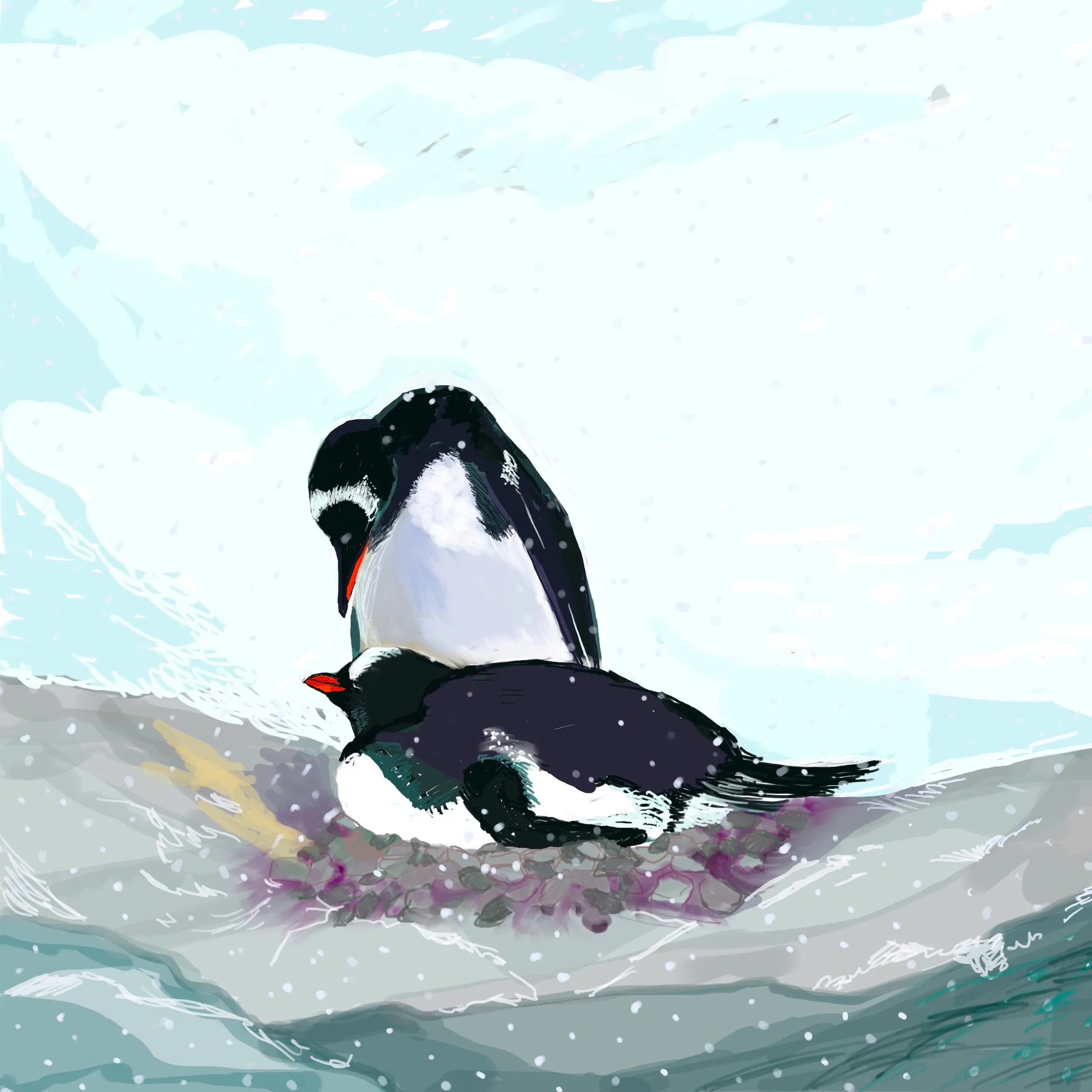 Gentoo Couple
