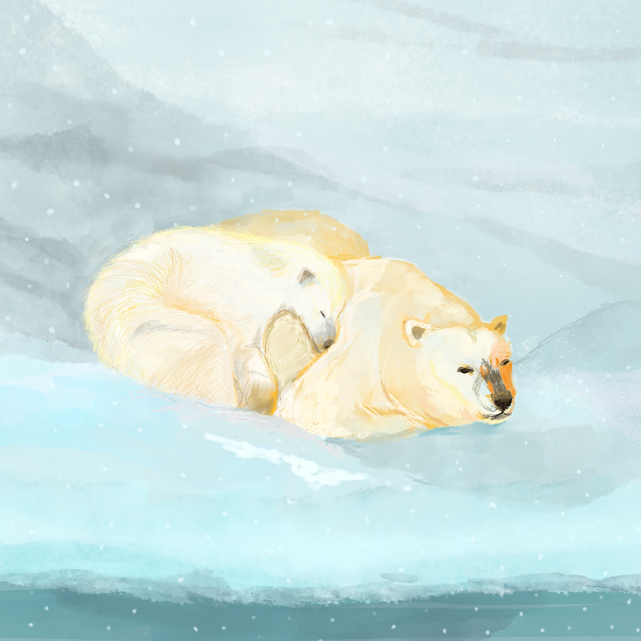 Polar Peace